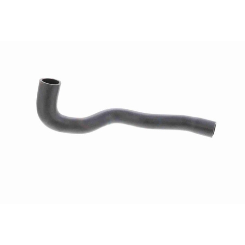 ACKOJA A32-1603 K&uuml;hlerschlauch Original ACKOJA Qualit&auml;t f&uuml;r MAZDA, unten