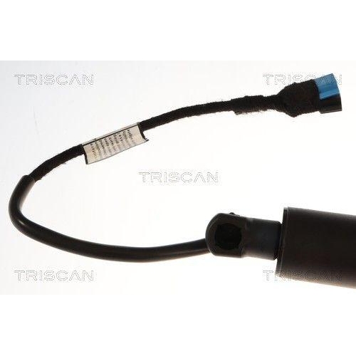 TRISCAN 8710 11377 Gasfeder, Koffer-/Laderaum f&uuml;r BMW, links, rechts