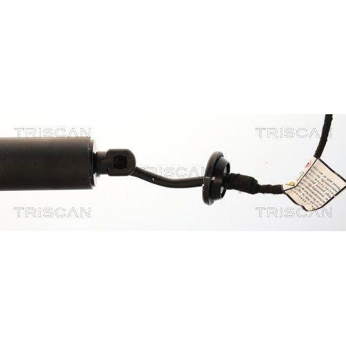 TRISCAN 8710 25304 Gasfeder, Koffer-/Laderaum f&uuml;r RENAULT, rechts