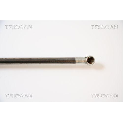 Gasfeder, Koffer-/Laderaum TRISCAN 8710 42223 f&uuml;r MITSUBISHI, hinten links