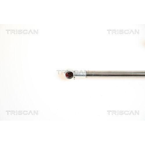Gasfeder, Koffer-/Laderaum TRISCAN 8710 42226 f&uuml;r MITSUBISHI, hinten rechts