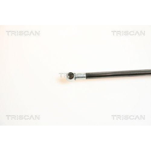 Gasfeder, Koffer-/Laderaum TRISCAN 8710 42227 für MITSUBISHI, hinten links