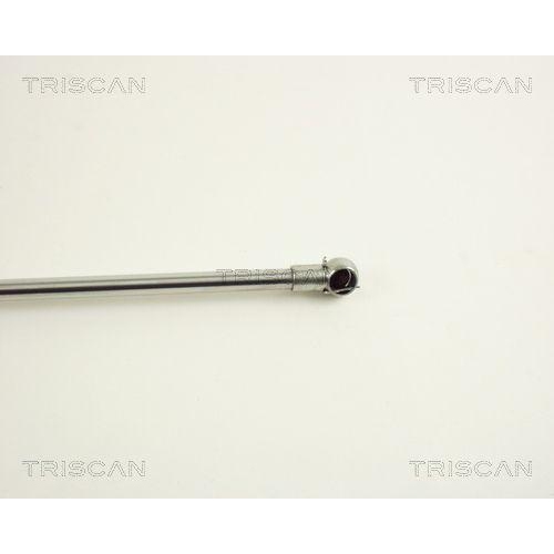 Gasfeder, Koffer-/Laderaum TRISCAN 8710 38207 f&uuml;r CITRO&Euml;N
