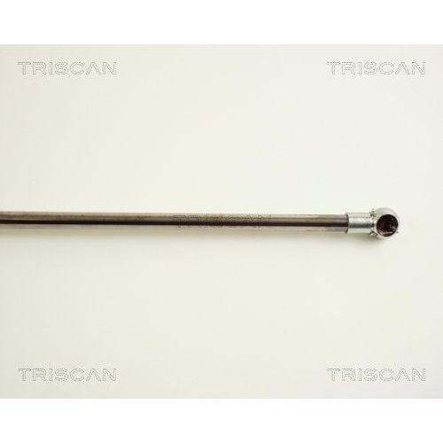 Gasfeder, Koffer-/Laderaum TRISCAN 8710 38210 f&uuml;r CITRO&Euml;N