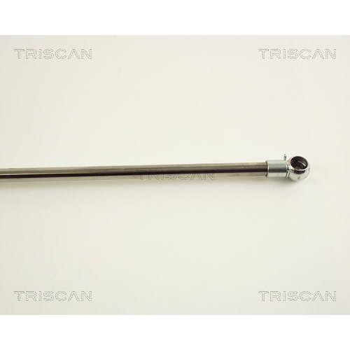 Gasfeder, Koffer-/Laderaum TRISCAN 8710 38211 f&uuml;r CITRO&Euml;N