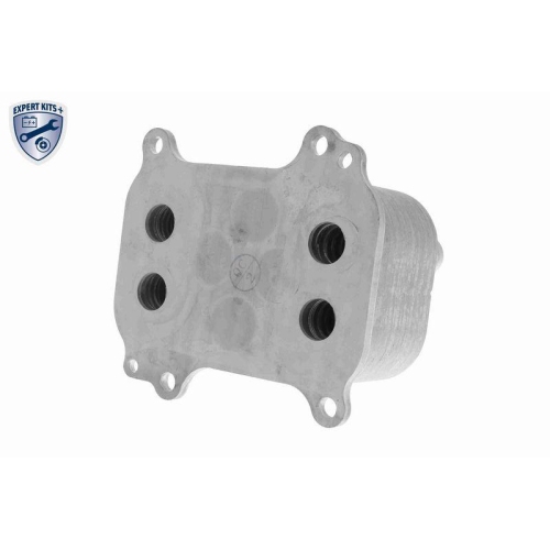 &Ouml;lk&uuml;hler, Motor&ouml;l VEMO V10-60-0066 EXPERT KITS + f&uuml;r AUDI VW