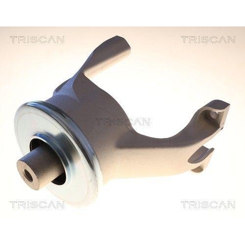 TRISCAN 8505 291005 Lagerung, Motor f&uuml;r VW, hinten, rechts, unten