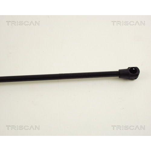Gasfeder, Koffer-/Laderaum TRISCAN 8710 38213 für CITROËN
