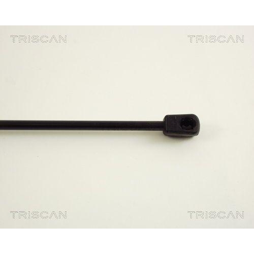 Gasfeder, Koffer-/Laderaum TRISCAN 8710 38216 f&uuml;r CITRO&Euml;N