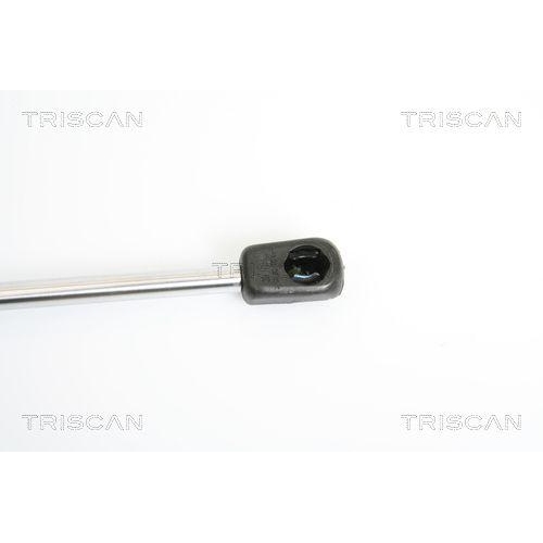 Gasfeder, Koffer-/Laderaum TRISCAN 8710 38219 f&uuml;r CITRO&Euml;N