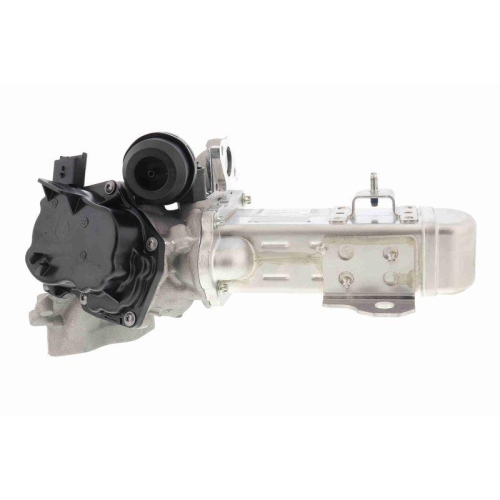 AGR-Ventil VEMO V25-63-0031-1 Original VEMO Qualit&auml;t f&uuml;r ALFA ROMEO FIAT FORD