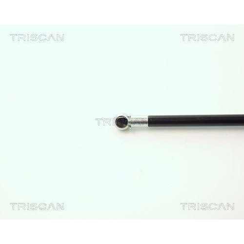 Gasfeder, Koffer-/Laderaum TRISCAN 8710 11205 f&uuml;r BMW, rechts