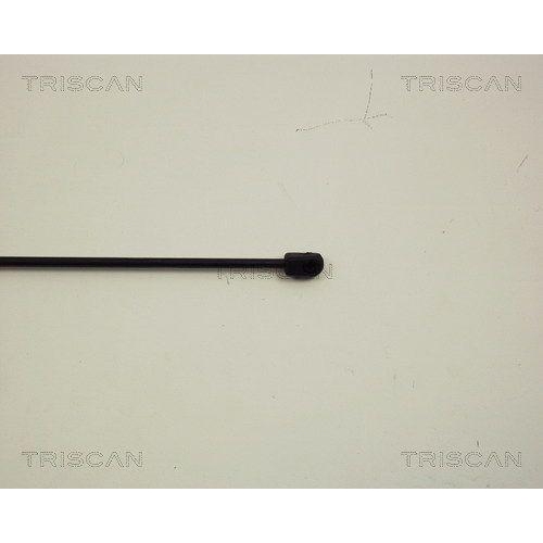 Gasfeder, Motorhaube TRISCAN 8710 29117 für VW, vorne rechts