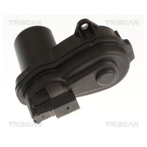 TRISCAN 8175 82213 Bremssattel f&uuml;r MG SAIC MOTOR, Hinterachse beidseitig