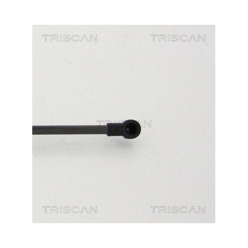 Gasfeder, Koffer-/Laderaum TRISCAN 8710 24254 für CHEVROLET, hinten links