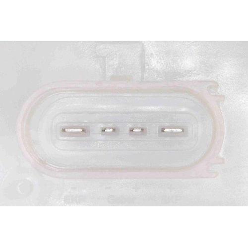 Kraftstoffpumpe VEMO V10-09-0005 Original VEMO Qualität für VAG