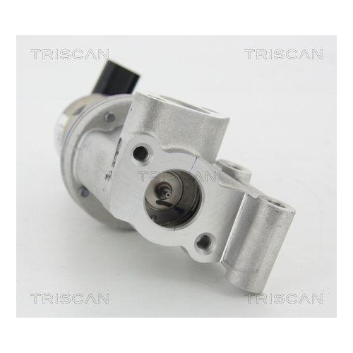 AGR-Ventil TRISCAN 8813 43021 f&uuml;r HYUNDAI KIA