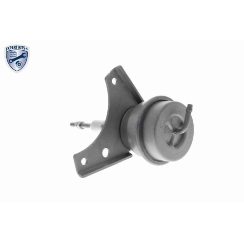 Steuerdose, Lader VEMO V15-40-0013 EXPERT KITS + für AUDI SEAT SKODA VW VAG