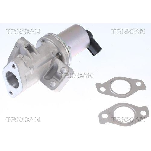 AGR-Ventil TRISCAN 8813 43024 f&uuml;r HYUNDAI KIA