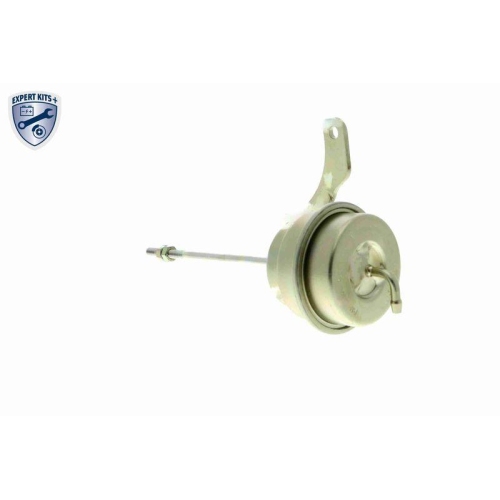 Steuerdose, Lader VEMO V15-40-0017 EXPERT KITS + f&uuml;r SEAT SKODA VW VAG