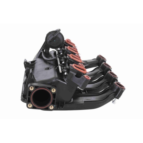 Saugrohrmodul VAICO V20-3657 Original VAICO Qualit&auml;t f&uuml;r BMW, Zylinderkopf