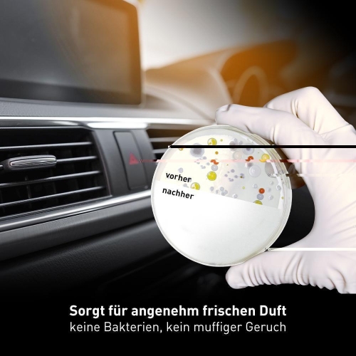 Klimaanlagenreiniger/-desinfizierer LIQUI MOLY 4087 Klimaanlagenreiniger für