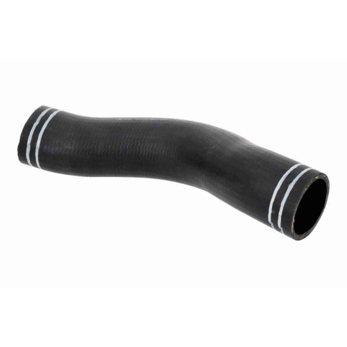 ACKOJA A38-0297 Ladeluftschlauch Original ACKOJA Qualit&auml;t f&uuml;r NISSAN, oben