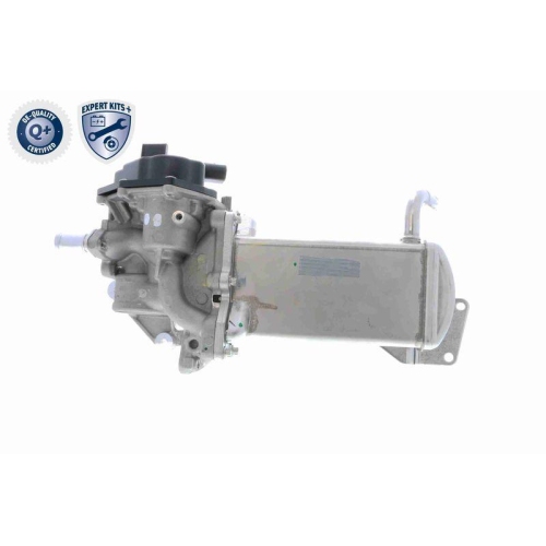 AGR-Ventil VEMO V10-63-0047 EXPERT KITS + für AUDI SEAT SKODA VW VAG