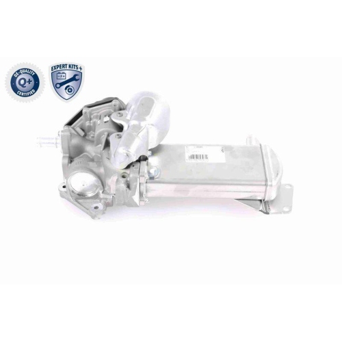 AGR-Ventil VEMO V10-63-0049 EXPERT KITS + f&uuml;r AUDI SEAT SKODA VW VAG