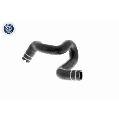 Kühlerschlauch VAICO V24-0806 Q+, Erstausrüsterqualität für FIAT