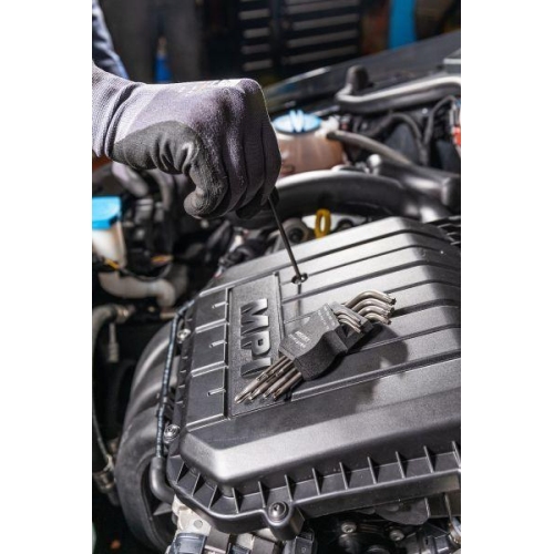 Winkelschraubendrehersatz HAZET 2116LG/8H für