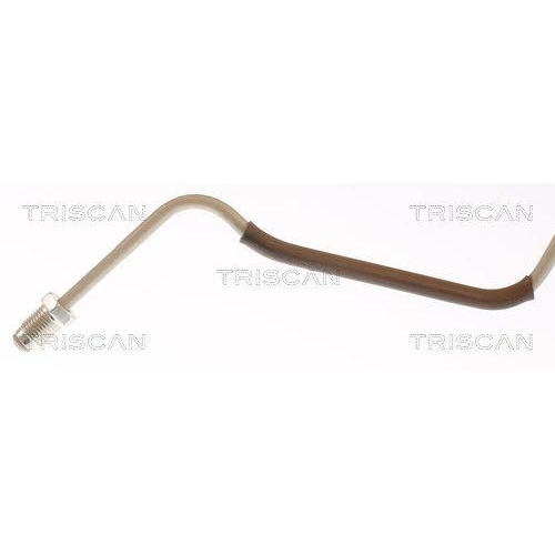Bremsschlauch TRISCAN 8150 25286 f&uuml;r RENAULT, Hinterachse rechts, au&szlig;en