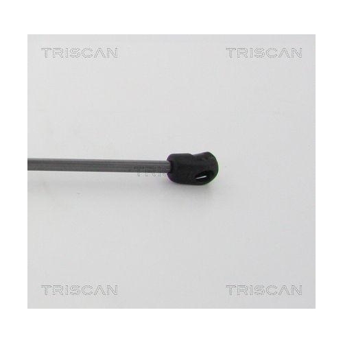 Gasfeder, Motorhaube TRISCAN 8710 20110 für PORSCHE, vorne links