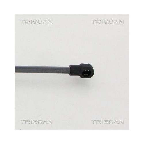 Gasfeder, Koffer-/Laderaum TRISCAN 8710 20208 f&uuml;r PORSCHE, hinten links