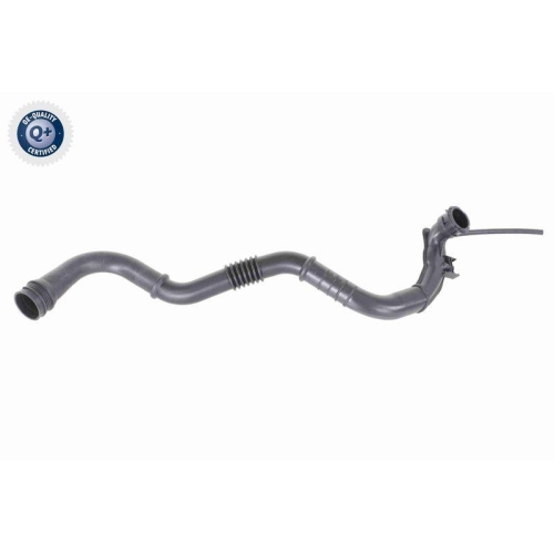 Ladeluftschlauch VAICO V46-0742 Q+, Erstausr&uuml;sterqualit&auml;t f&uuml;r RENAULT