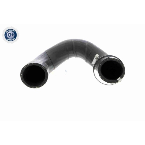 Ladeluftschlauch VAICO V46-0849 Q+, Erstausrüsterqualität für CHRYSLER RENAULT