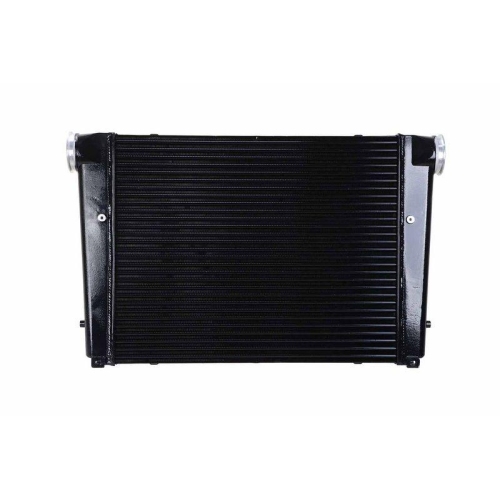 HELLA Ladeluftk&uuml;hler 8ML 366 340-031 f&uuml;r MAN SOLARIS