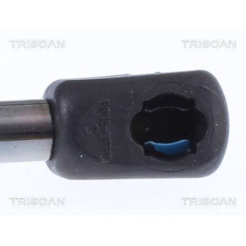 Gasfeder, Koffer-/Laderaum TRISCAN 8710 11248 f&uuml;r BMW, hinten links, links