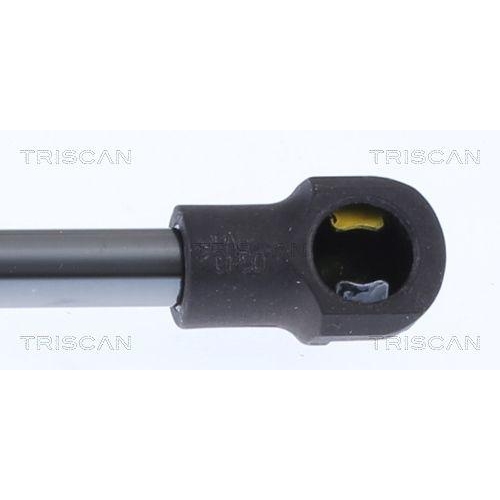 Gasfeder, Koffer-/Laderaum TRISCAN 8710 14260 für NISSAN, hinten links