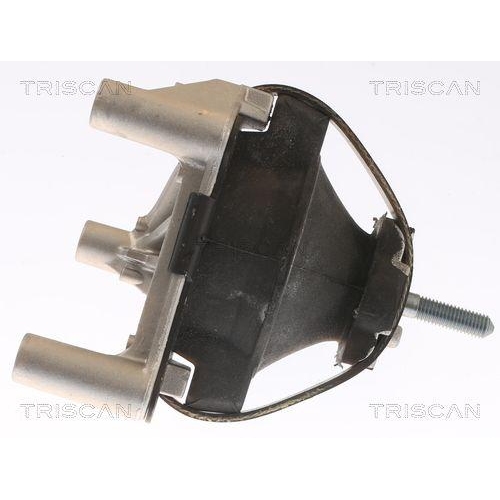 Lagerung, Motor TRISCAN 8505 65100 f&uuml;r SAAB, hinten