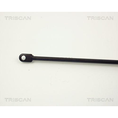 Gasfeder, Koffer-/Laderaum TRISCAN 8710 6503 für SAAB
