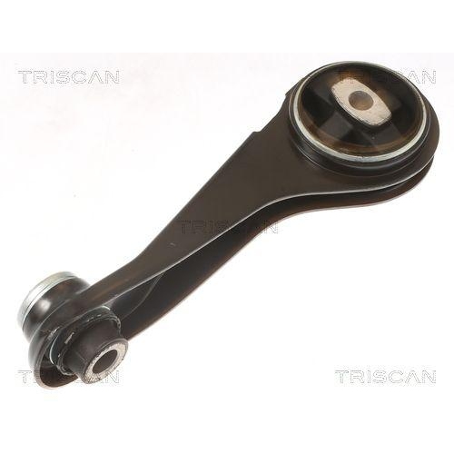 Lagerung, Motor TRISCAN 8505 25125 f&uuml;r RENAULT, hinten, unten