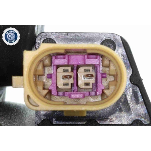 Lagerung, Motor VAICO V10-7428 Green Mobility Parts für VAG, vorne rechts