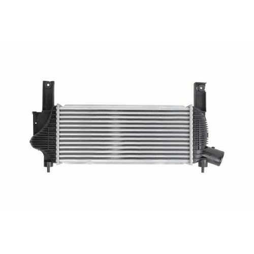 HELLA Ladeluftk&uuml;hler 8ML 366 340-311 f&uuml;r NISSAN