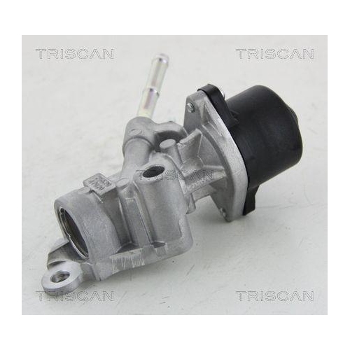 AGR-Ventil TRISCAN 8813 13025 f&uuml;r TOYOTA