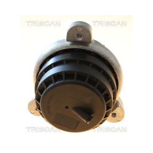 TRISCAN 8505 11130 Lagerung, Motor f&uuml;r BMW, links, vorne