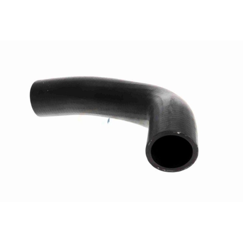 ACKOJA A63-1601 K&uuml;hlerschlauch Original ACKOJA Qualit&auml;t f&uuml;r SUBARU, unten