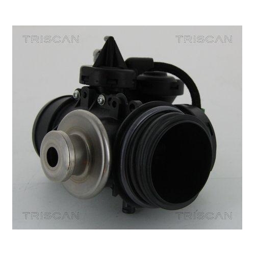 AGR-Ventil TRISCAN 8813 15056 f&uuml;r CITRO&Euml;N FIAT PEUGEOT