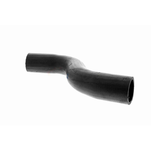 ACKOJA A63-1603 K&uuml;hlerschlauch Original ACKOJA Qualit&auml;t f&uuml;r SUBARU, oben