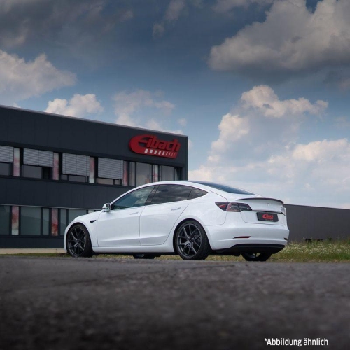 Fahrwerkssatz, Federn EIBACH E10-87-001-03-22 Pro-Kit f&uuml;r, Hinterachse